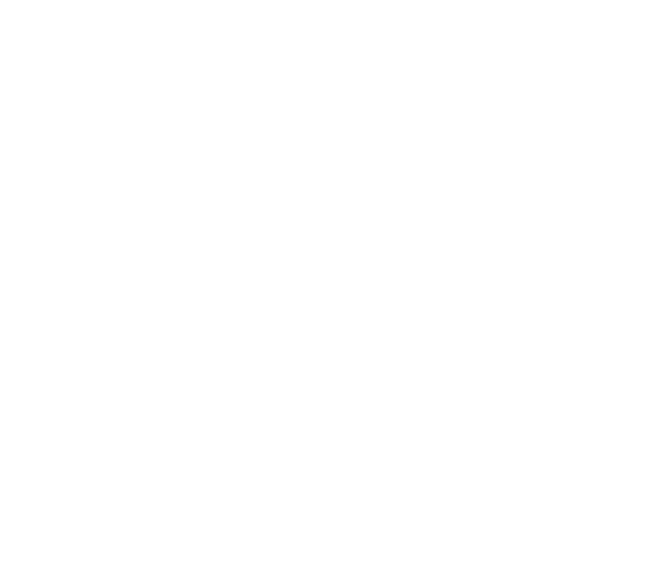 Geometric Kingdom